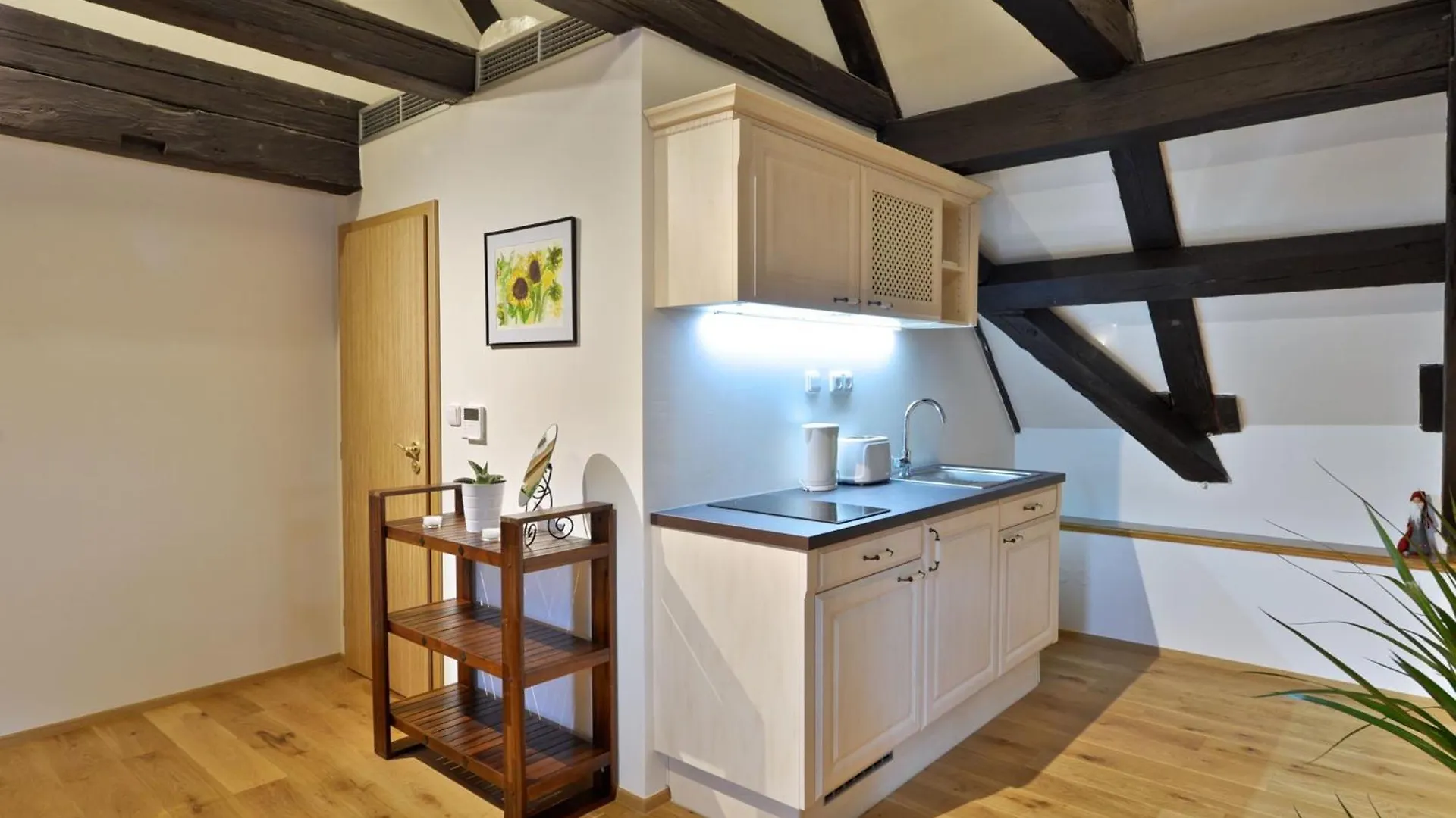Old Town Boutique Apartments Praga