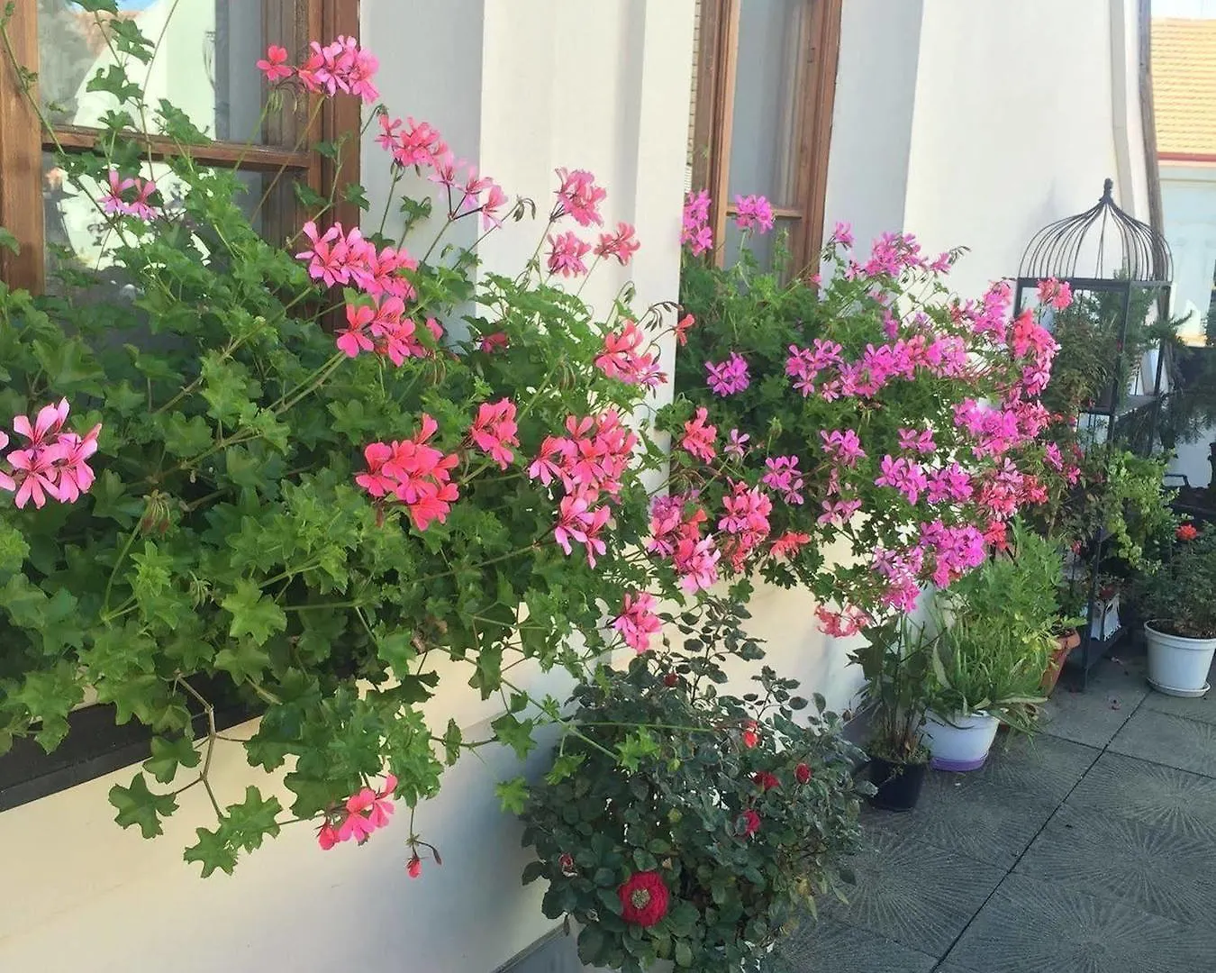 Old Town Boutique Apartments Praga